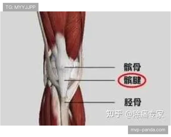 二次起跳规则如何判定？篮球新手必须掌握的关键规则详解