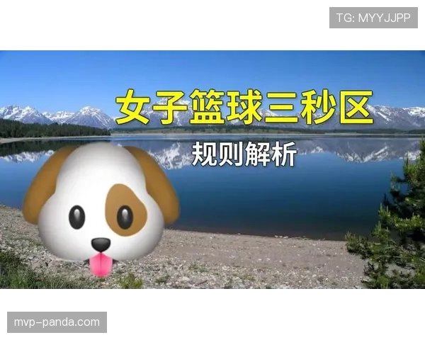 国际篮球赛中的三秒规则差异，有哪些区别需注意？